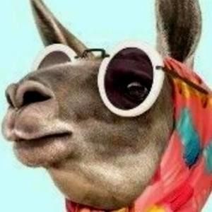 Meet your Posher, Teresa